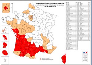 Carte infestation termites PARIS